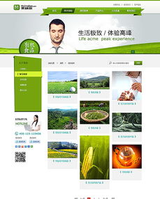 企業網站設計 構建專業、高效的數字門戶